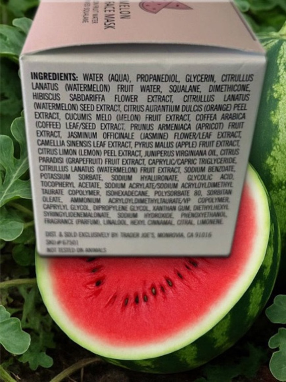 Trader Joe's Watermelon Overnight Face Mask — Pink - Picture 4 of 9
